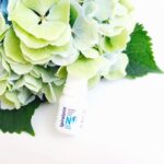 Spirularin® N Серум при проблемни нокти - Image 2